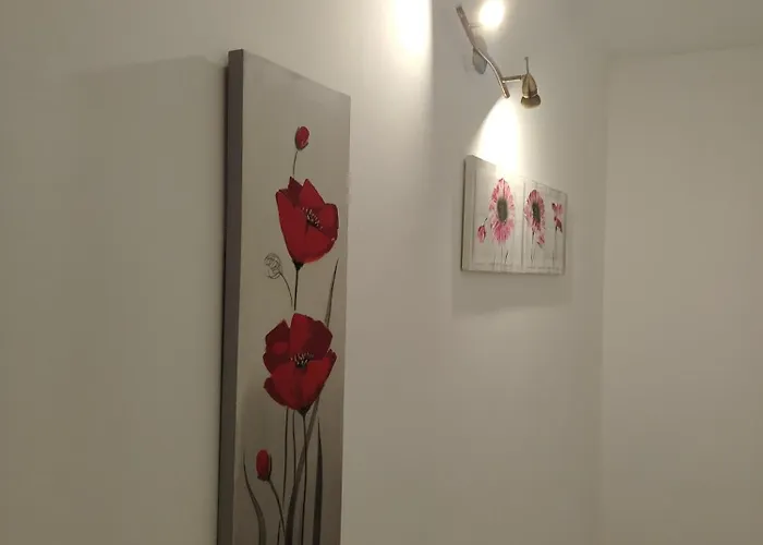 Passage Apartamento Paraćin